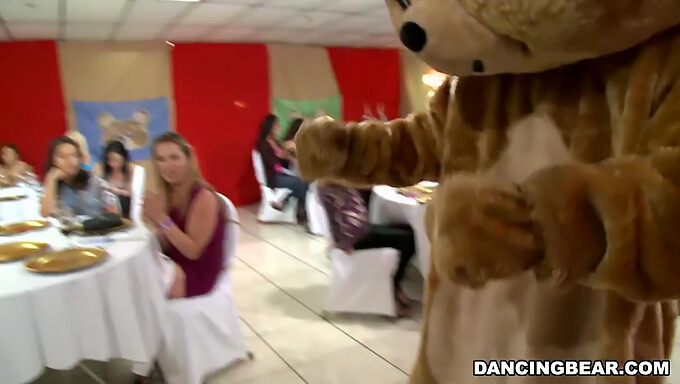 Get ready to dance with the legendary Dancing Bear at a group party!