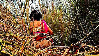 Indian Amateur Couple Enjoys Outdoor Sex In The Field